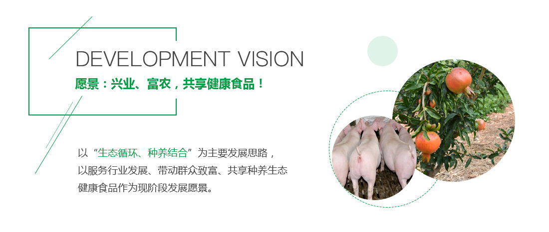 企業文(wén)化